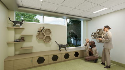 UR Studio Images - 6396-PawsCrossedElmsford-dv2.jpg